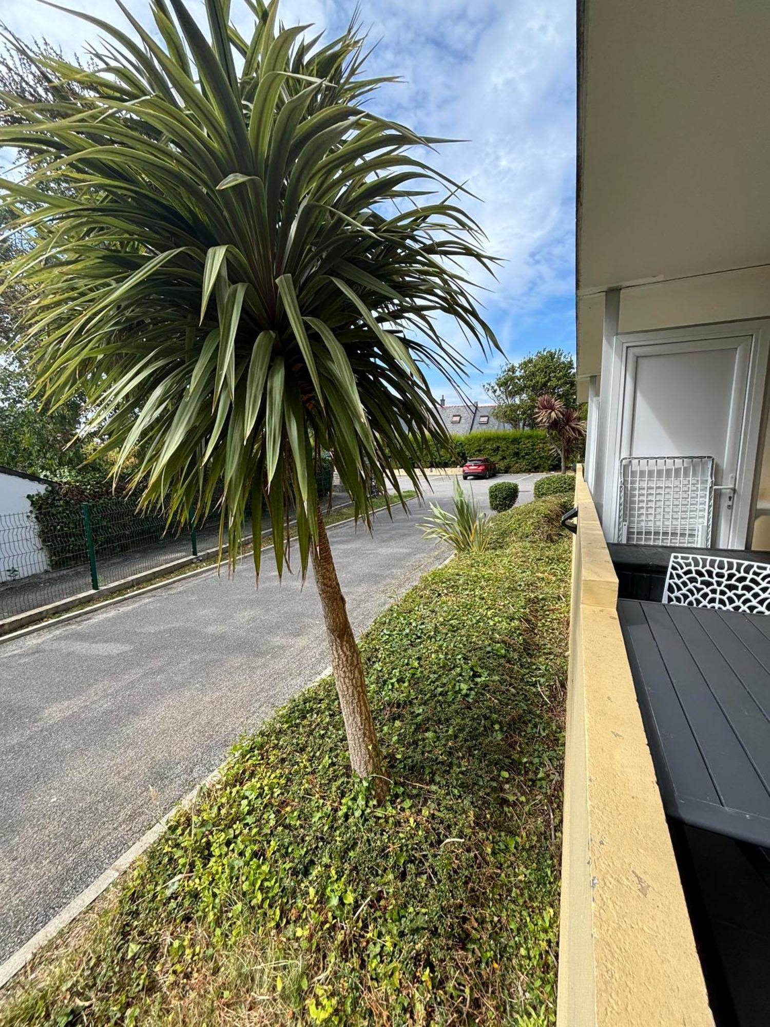 Appartement Studio 4 Personnes Dans Residence Avec Piscine Кіберон Екстер'єр фото